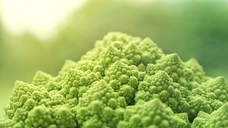 Molecular Gastronomy